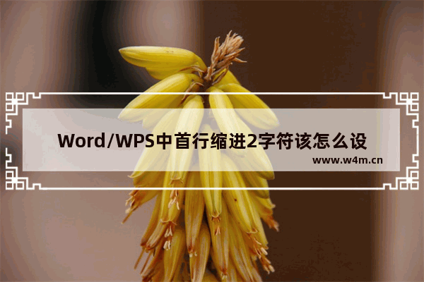 Word/WPS中首行缩进2字符该怎么设置