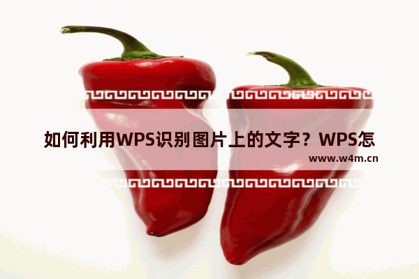 如何利用WPS识别图片上的文字？WPS怎么提取图片文字？