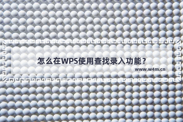 怎么在WPS使用查找录入功能？