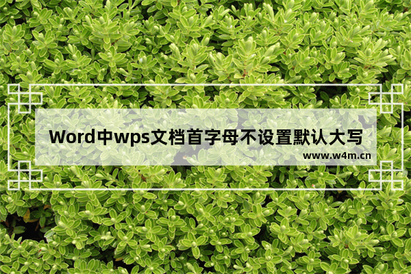 Word中wps文档首字母不设置默认大写的操作方法