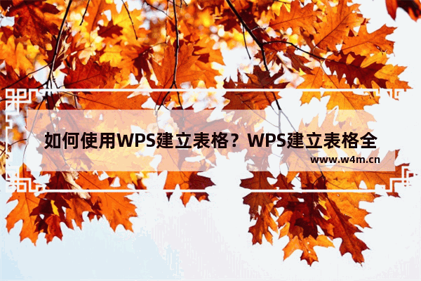 如何使用WPS建立表格？WPS建立表格全过程