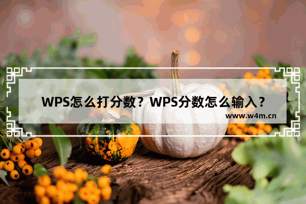 WPS怎么打分数？WPS分数怎么输入？