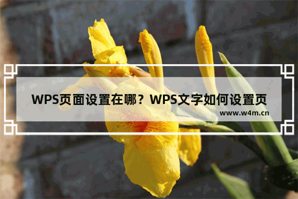 WPS页面设置在哪？WPS文字如何设置页面？