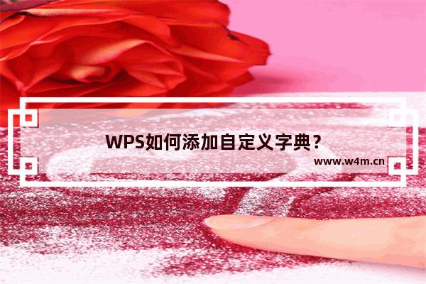 WPS如何添加自定义字典？