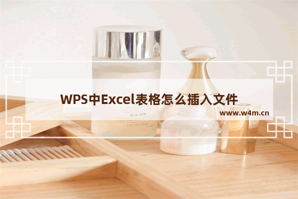 WPS中Excel表格怎么插入文件