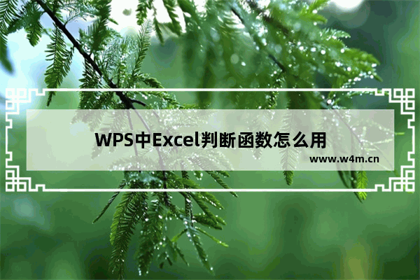 WPS中Excel判断函数怎么用