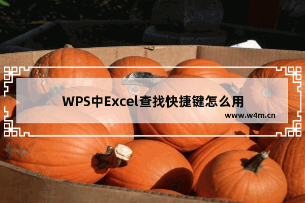 WPS中Excel查找快捷键怎么用