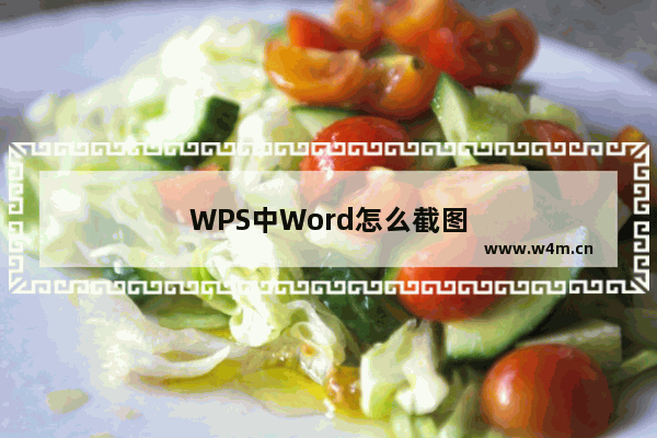 WPS中Word怎么截图