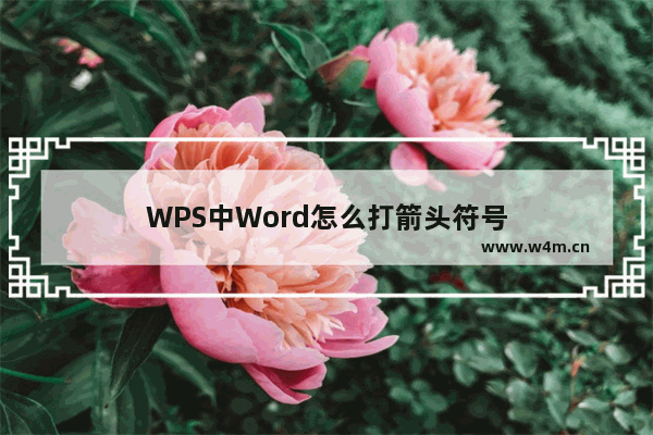 WPS中Word怎么打箭头符号