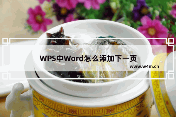 WPS中Word怎么添加下一页