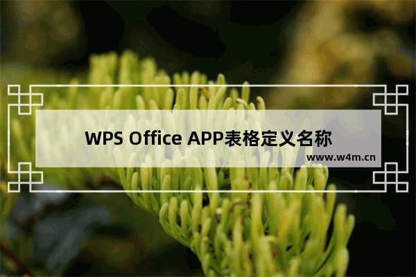 WPS Office APP表格定义名称怎么设置？设置表格定义名称的方法说明