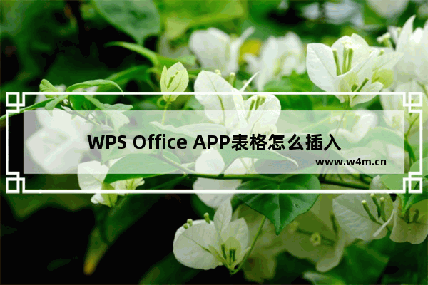 WPS Office APP表格怎么插入数字符号？插入数字符号的方法说明