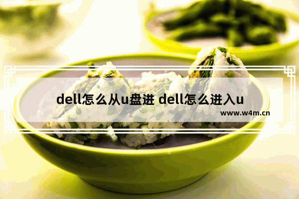 dell怎么从u盘进 dell怎么进入u盘