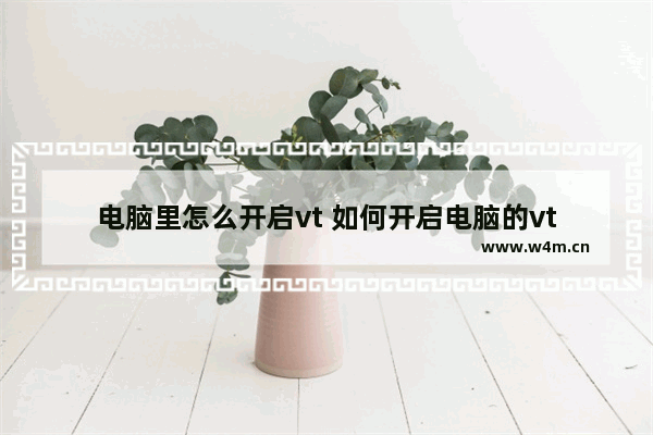 电脑里怎么开启vt 如何开启电脑的vt