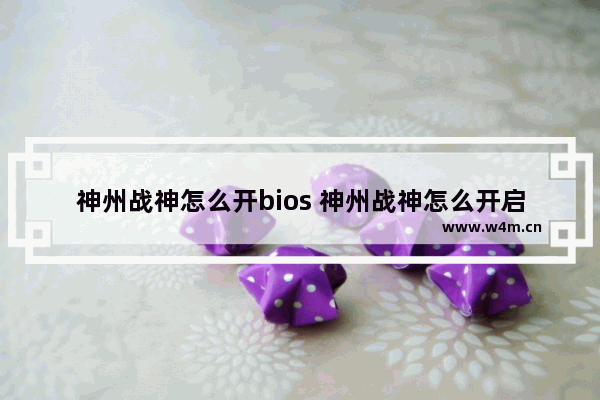 神州战神怎么开bios 神州战神怎么开启vt