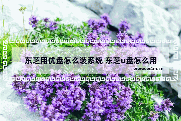 东芝用优盘怎么装系统 东芝u盘怎么用