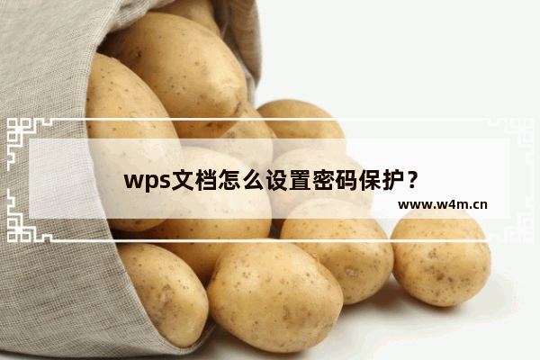 wps文档怎么设置密码保护？