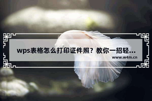 wps表格怎么打印证件照？教你一招轻松打印一寸和两寸证件照！