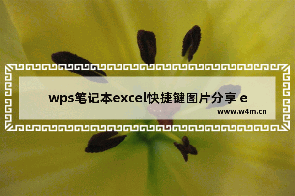 wps笔记本excel快捷键图片分享 excel快捷键大全常用