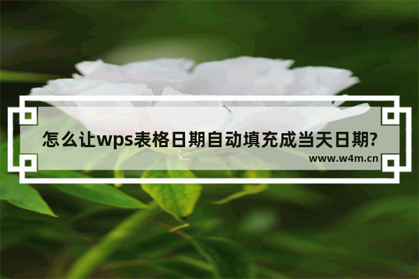 怎么让wps表格日期自动填充成当天日期?