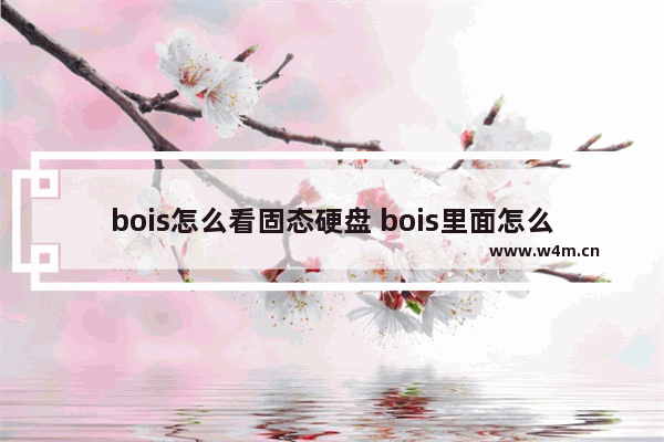 bois怎么看固态硬盘 bois里面怎么看硬盘