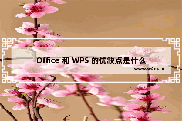 Office 和 WPS 的优缺点是什么，要如何选择？