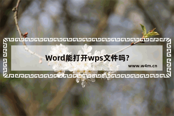 Word能打开wps文件吗?