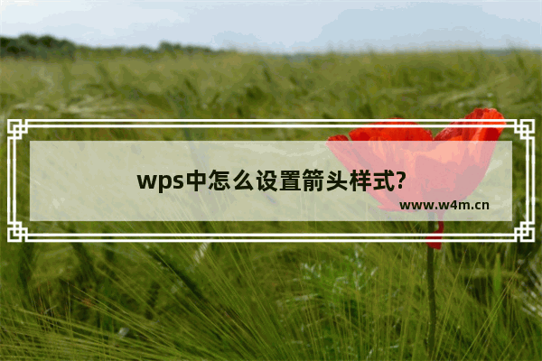 wps中怎么设置箭头样式?