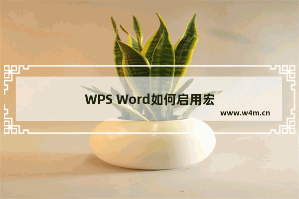 WPS Word如何启用宏