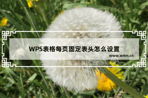 WPS表格每页固定表头怎么设置