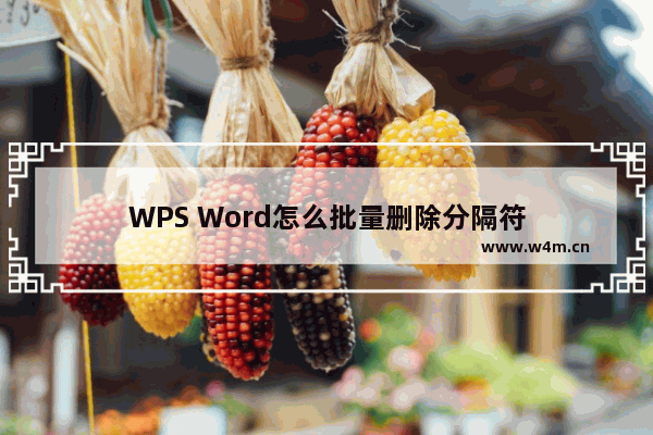 WPS Word怎么批量删除分隔符