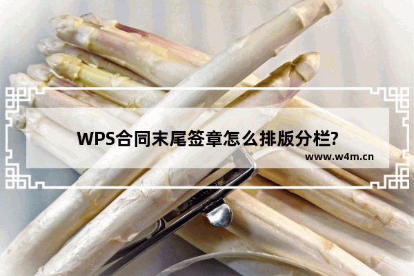 WPS合同末尾签章怎么排版分栏?