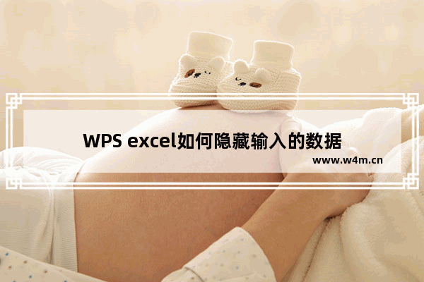 WPS excel如何隐藏输入的数据