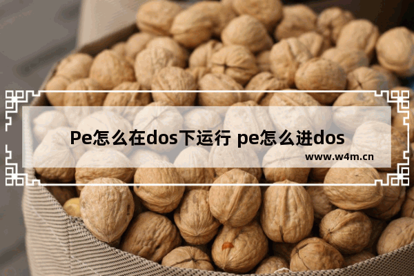 Pe怎么在dos下运行 pe怎么进dos界面