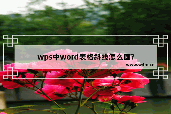 wps中word表格斜线怎么画?