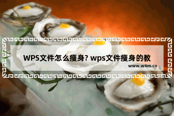 WPS文件怎么瘦身? wps文件瘦身的教程