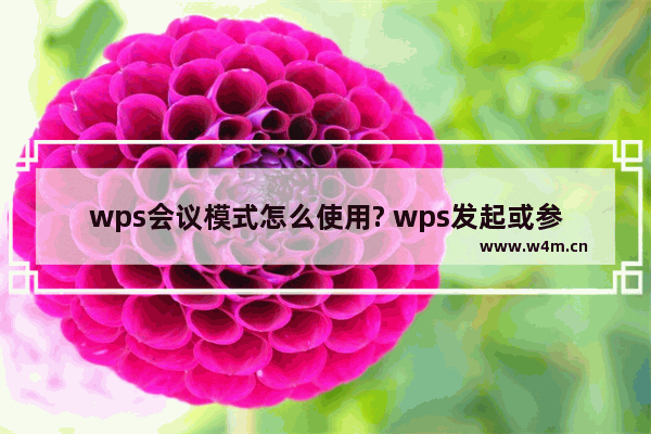 wps会议模式怎么使用? wps发起或参与会议的教程