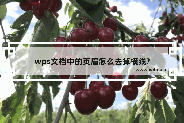 wps文档中的页眉怎么去掉横线?