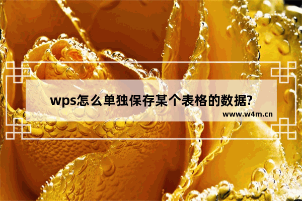 wps怎么单独保存某个表格的数据?