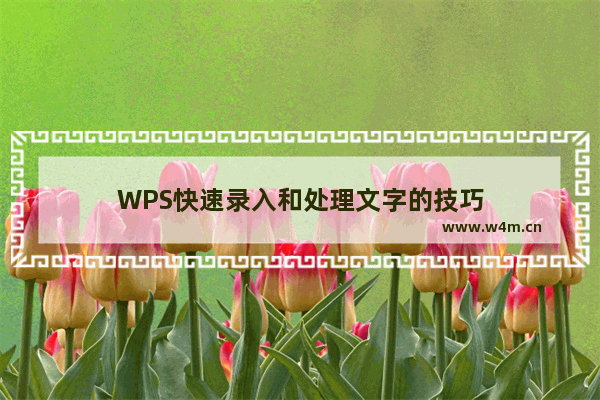 WPS快速录入和处理文字的技巧