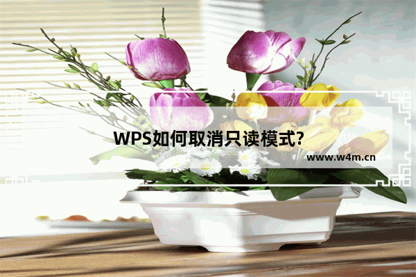 WPS如何取消只读模式?