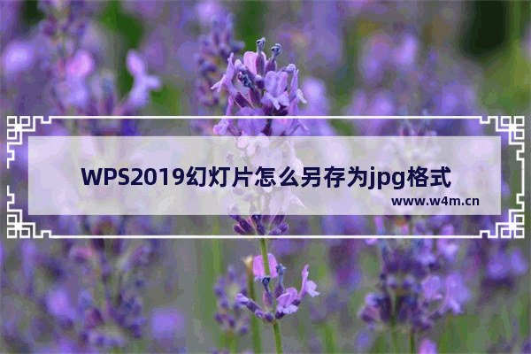 WPS2019幻灯片怎么另存为jpg格式的图片?