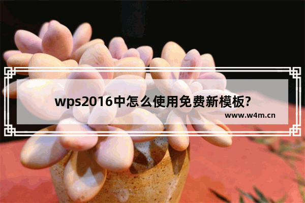 wps2016中怎么使用免费新模板?