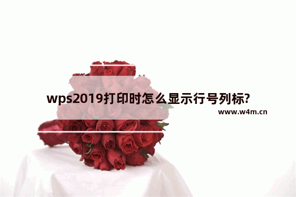 wps2019打印时怎么显示行号列标?