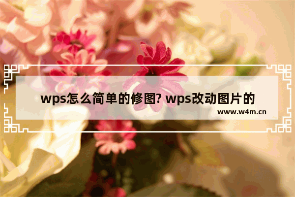 wps怎么简单的修图? wps改动图片的教程