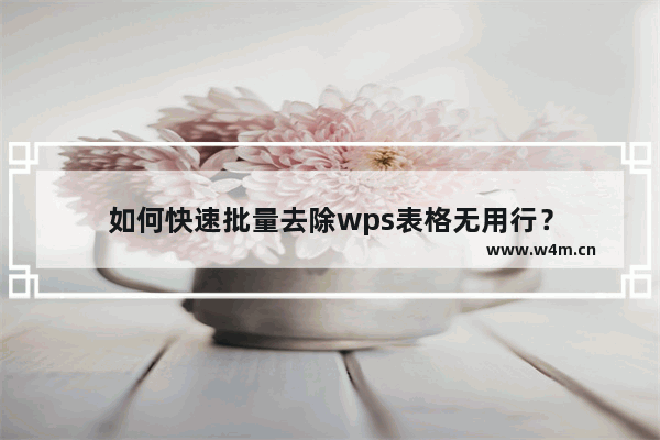 如何快速批量去除wps表格无用行？