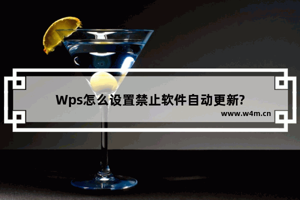 Wps怎么设置禁止软件自动更新?