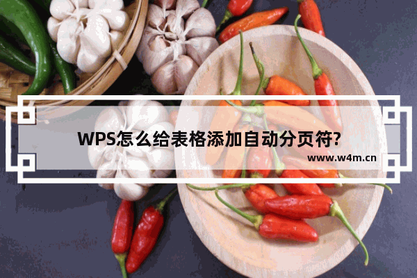 WPS怎么给表格添加自动分页符?