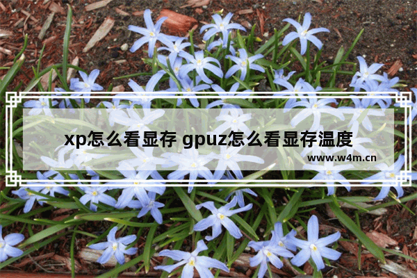 xp怎么看显存 gpuz怎么看显存温度