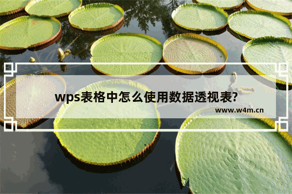 wps表格中怎么使用数据透视表?